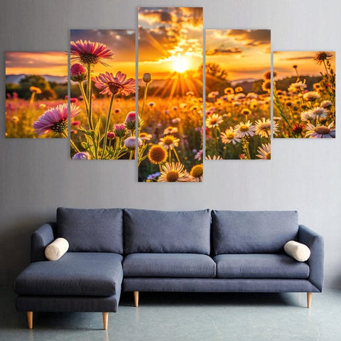 Image of Sunset in Field of Flowers