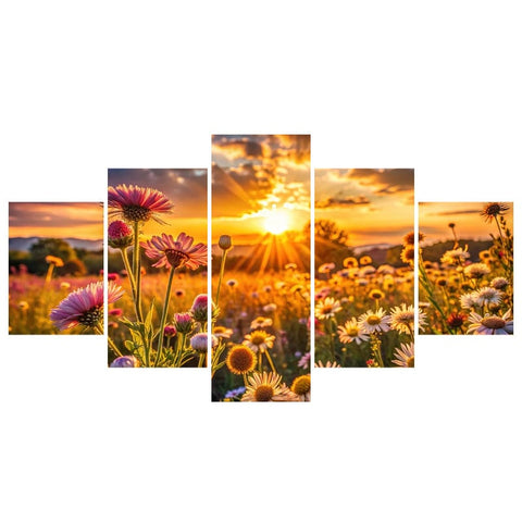 Image of Sunset in Field of Flowers