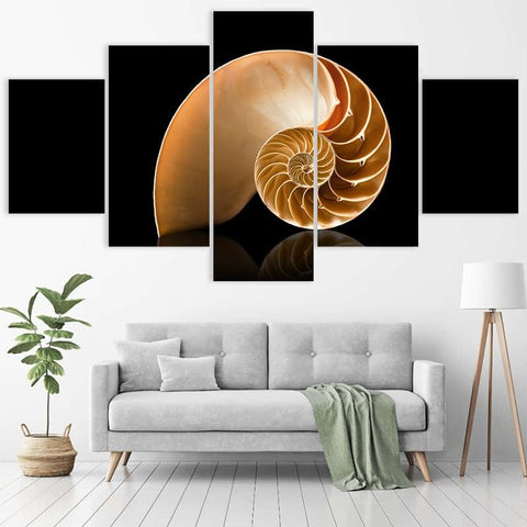 Image of Spiral Shell