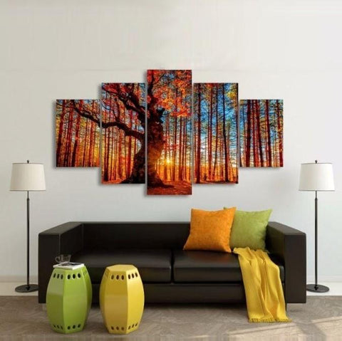 Image of Forest Sunset