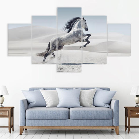 Image of Wild Desert Horse