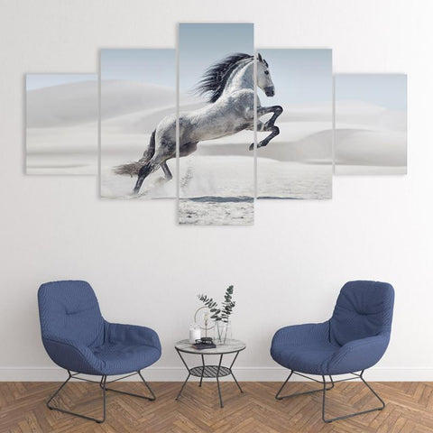 Image of Wild Desert Horse