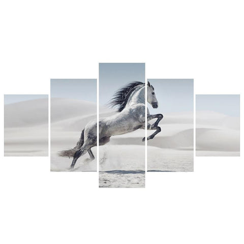Image of Wild Desert Horse