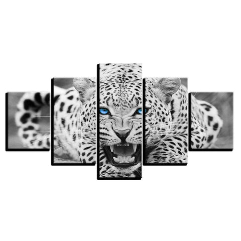 Image of Blue Eyed Leopard