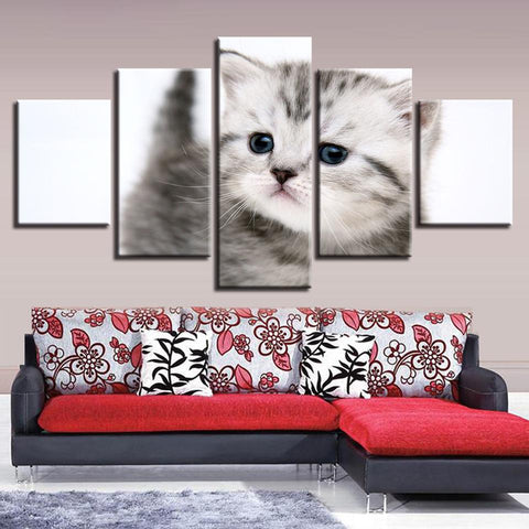 Image of Cute Kitten