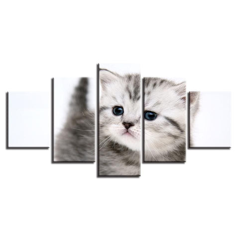 Image of Cute Kitten