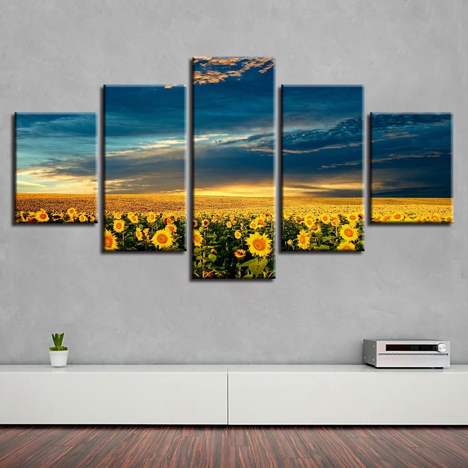 Field of Sunflowers