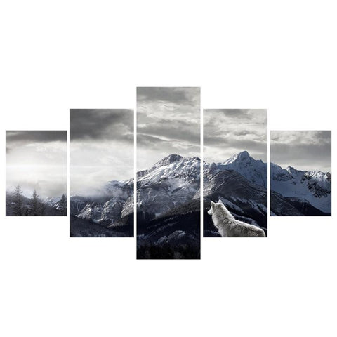 Image of Himalayan Wolf