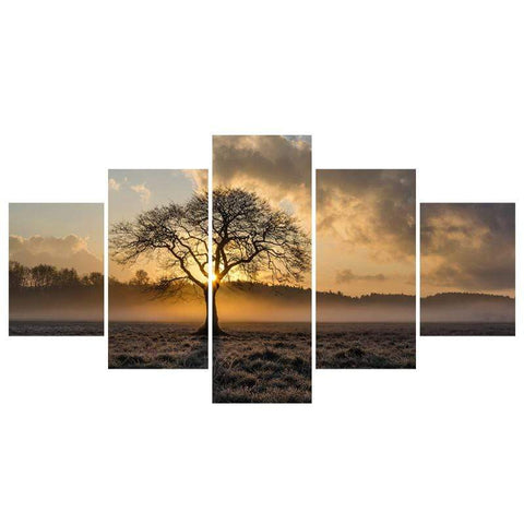Image of Sunrise Tree