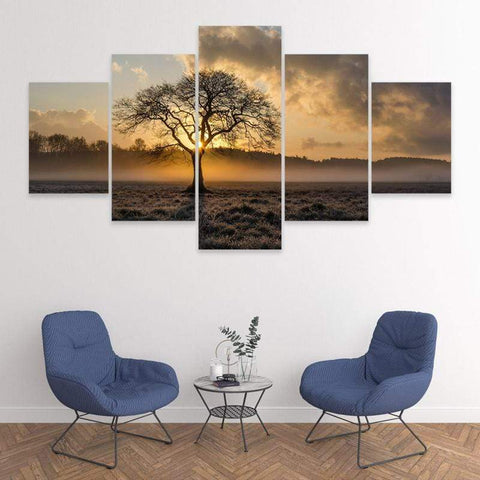 Image of Sunrise Tree