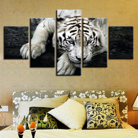 Image of White Tiger