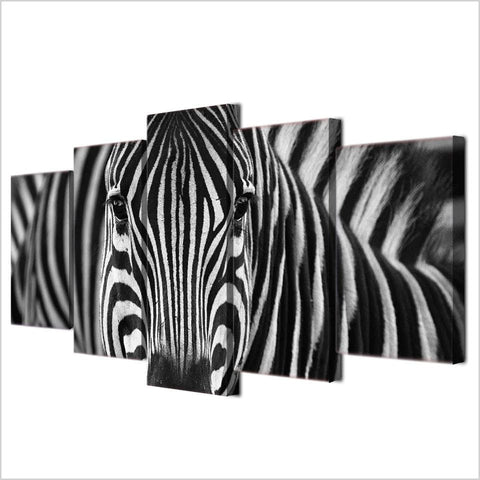 Image of Zebra Stripes