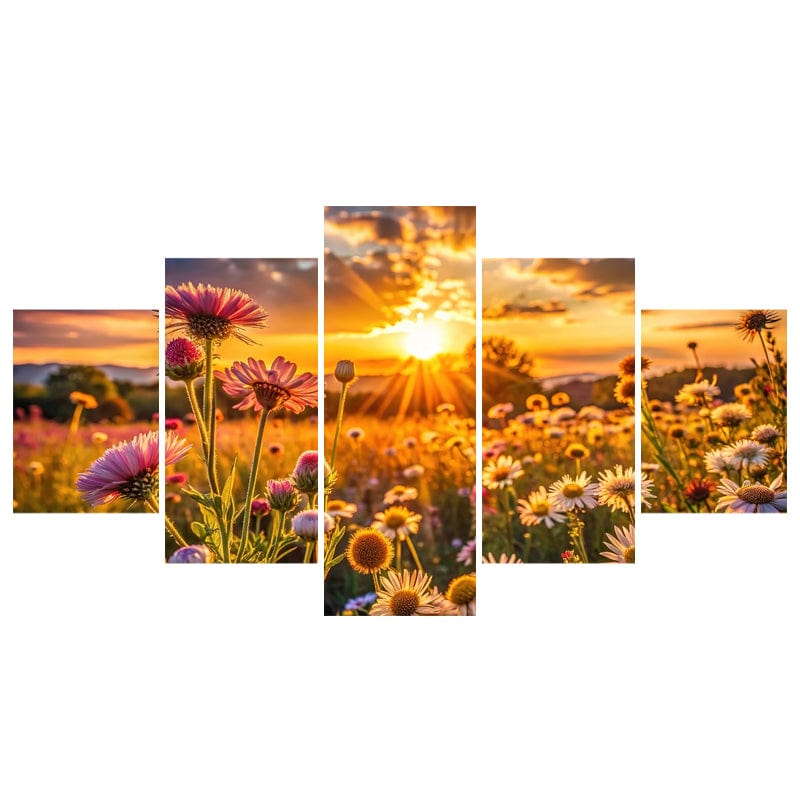Sunset in Field of Flowers