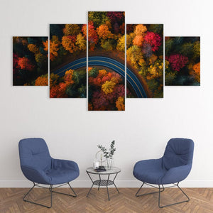 Vibrant Fall Colors