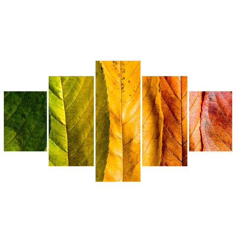 Image of Changing Leaves
