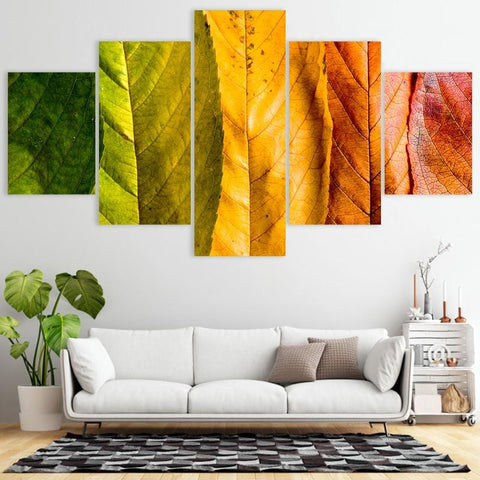 Image of Changing Leaves