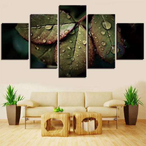 Image of Green Leaves and Raindrops