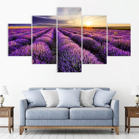 Image of Lavender Field