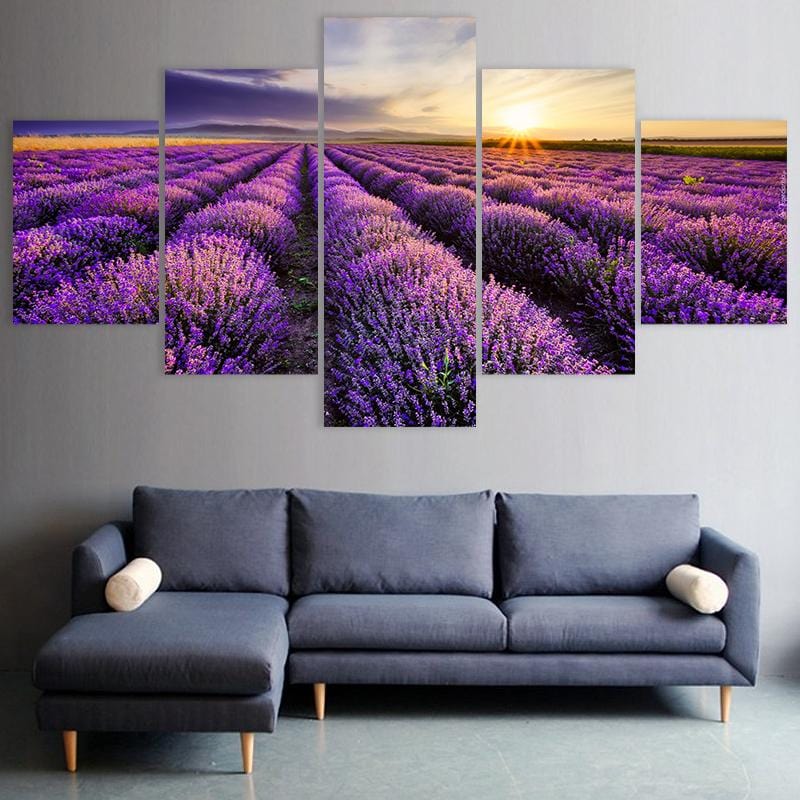 Lavender Field