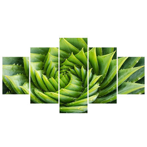 Spiral Green Plant