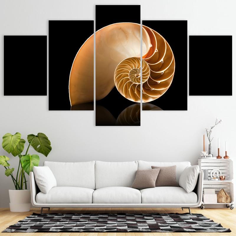 Spiral Shell