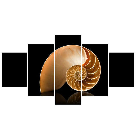 Image of Spiral Shell