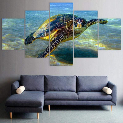 Image of Tropical Turtle