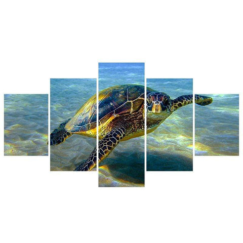 Image of Tropical Turtle