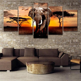 African Elephant