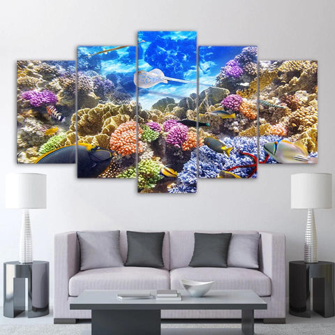 Image of Coral and Fish