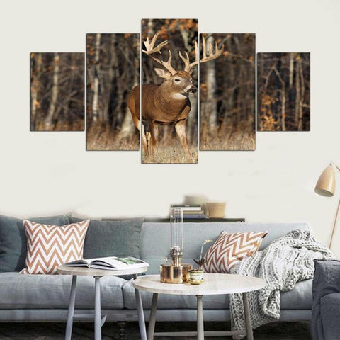Image of Deer in the Forest