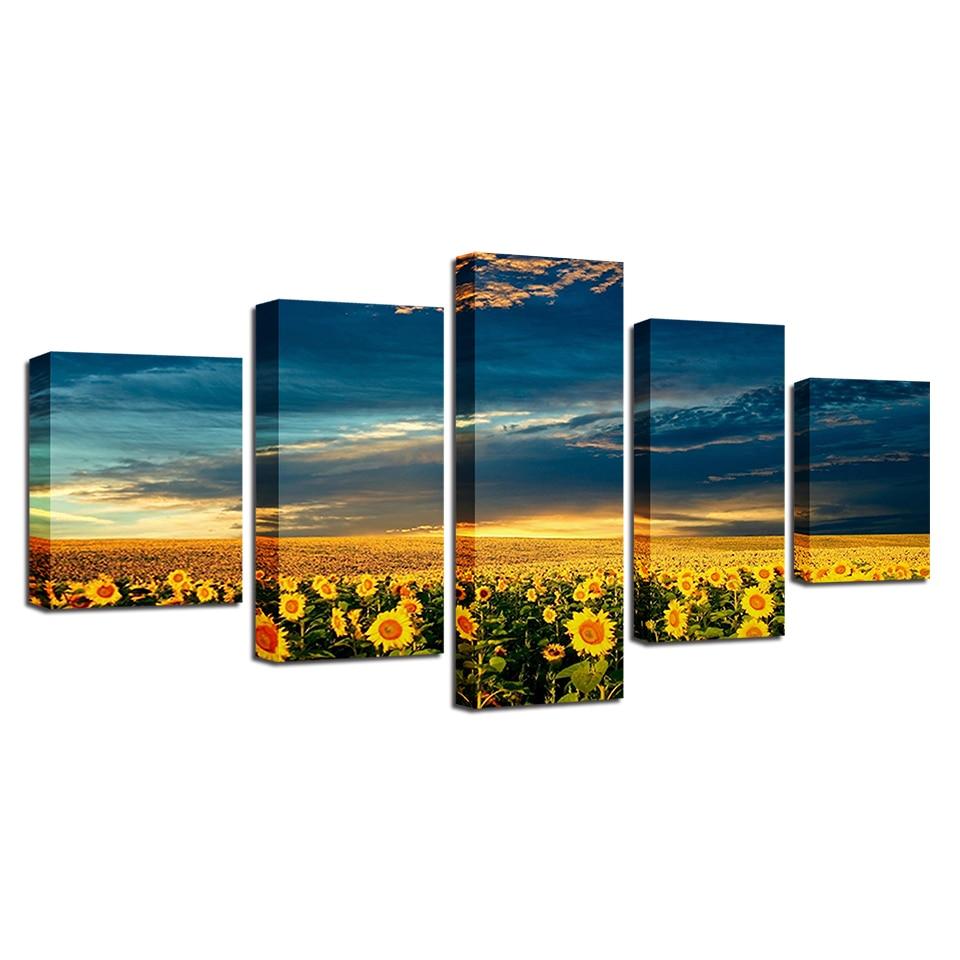 Field of Sunflowers