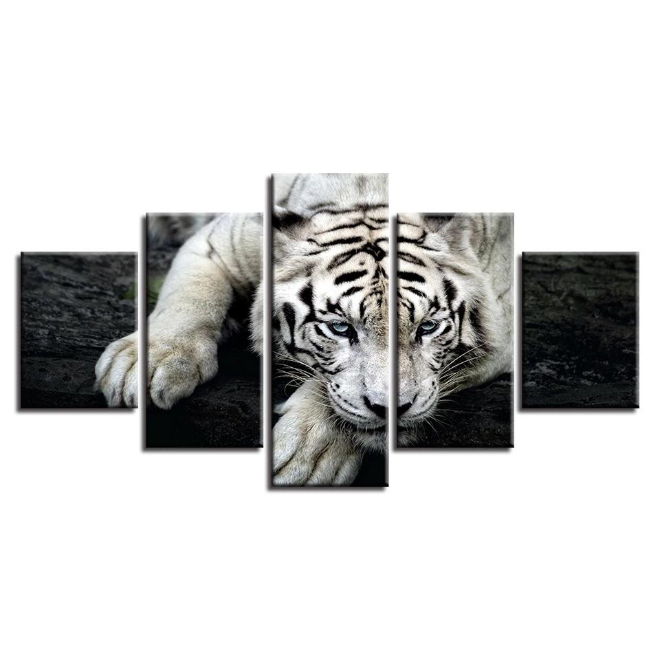 White Tiger