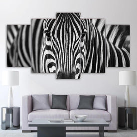 Zebra Stripes